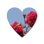 q Magnet (Heart)