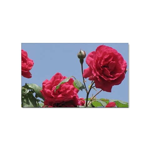 q Sticker Rectangular (10 pack) from ArtsNow.com Front