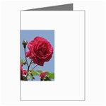 q Greeting Cards (Pkg of 8)