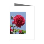 q Mini Greeting Cards (Pkg of 8)