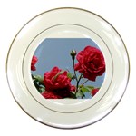 q Porcelain Plate