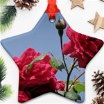 q Star Ornament (Two Sides)
