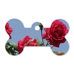 q Dog Tag Bone (Two Sides)
