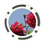 q Poker Chip Card Guard