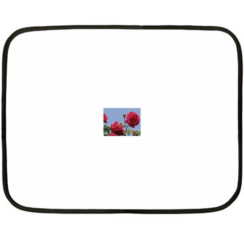 q Mini Fleece Blanket(Two Sides) from ArtsNow.com 35 x27  Blanket Front