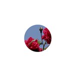 q 1  Mini Button