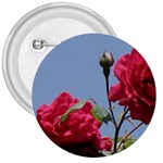 q 3  Button