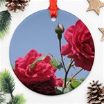 q Ornament (Round)