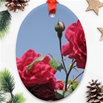 q Ornament (Oval)