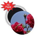 q 2.25  Magnet (10 pack)