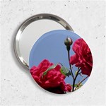 q 2.25  Handbag Mirror