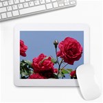 q Large Mousepad