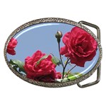 q Belt Buckle