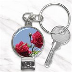 q Nail Clippers Key Chain