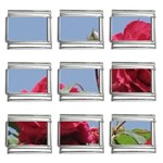 q 9mm Italian Charm (9 pack)