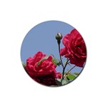 q Rubber Round Coaster (4 pack)
