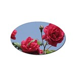 q Sticker Oval (100 pack)