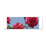 q Sticker Bumper (10 pack)