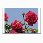 q Postcard 4 x 6  (Pkg of 10)