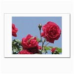 q Postcards 5  x 7  (Pkg of 10)
