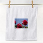 q Face Towel