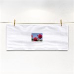 q Hand Towel