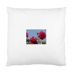 q Cushion Case (One Side)