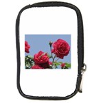 q Compact Camera Leather Case