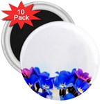 1 3  Magnet (10 pack)