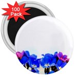 1 3  Magnet (100 pack)