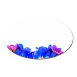 1 Magnet (Oval)