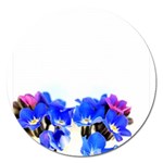 1 Magnet 5  (Round)