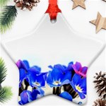 1 Star Ornament (Two Sides)