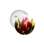 5 1.75  Button
