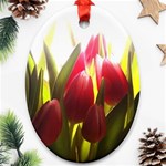 5 Ornament (Oval)
