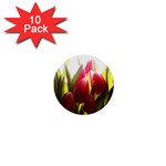 5 1  Mini Button (10 pack) 