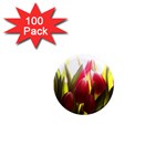 5 1  Mini Magnet (100 pack) 