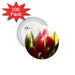5 1.75  Button (100 pack) 