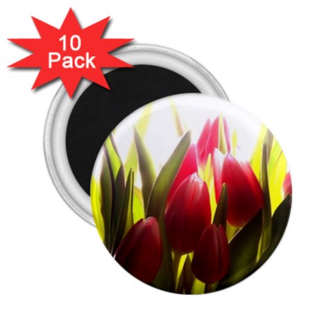5 2.25  Magnet (10 pack) from ArtsNow.com Front