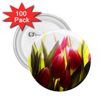 5 2.25  Button (100 pack)