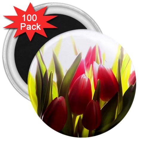 5 3  Magnet (100 pack) from ArtsNow.com Front