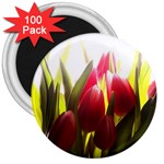 5 3  Magnet (100 pack)