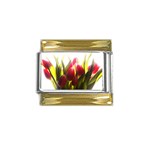 5 Gold Trim Italian Charm (9mm)