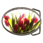 5 Belt Buckle