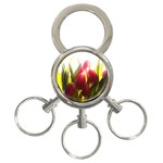 5 3-Ring Key Chain