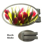 5 Money Clip (Oval)