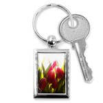 5 Key Chain (Rectangle)