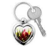 5 Key Chain (Heart)