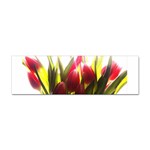 5 Sticker (Bumper)