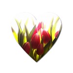 5 Magnet (Heart)